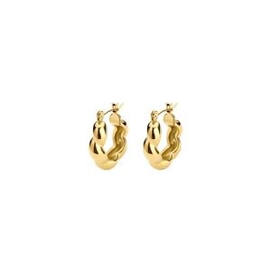 Gold Earrings.